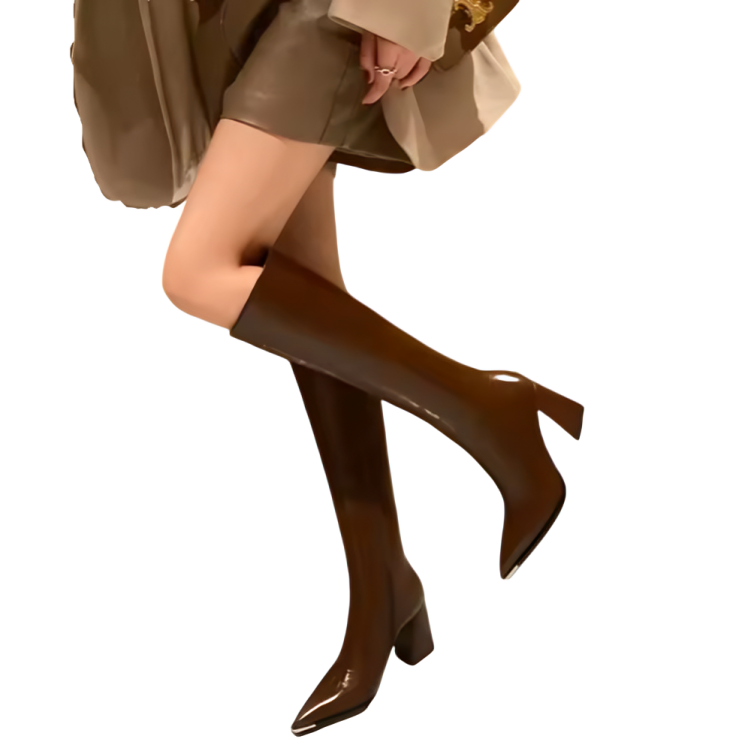 Pointed toe high boots