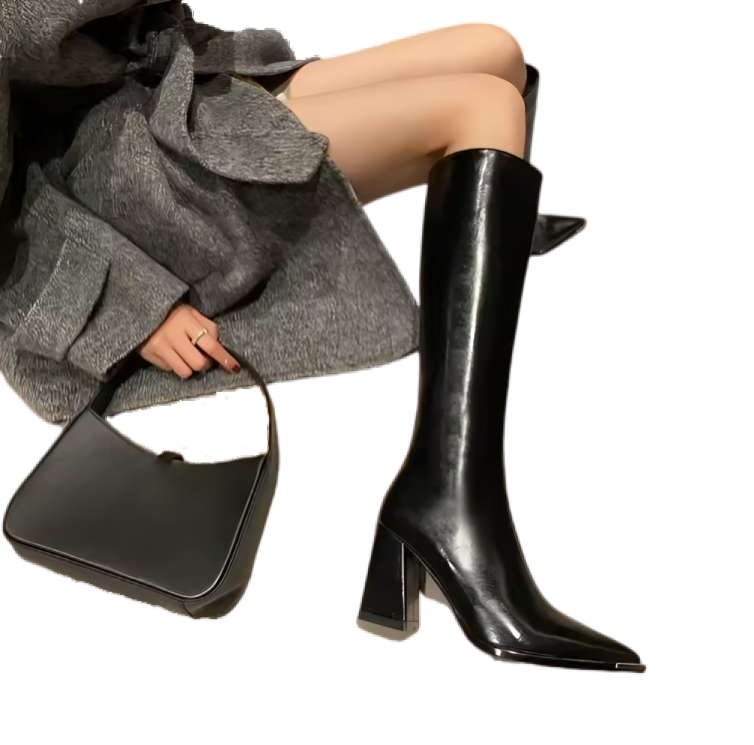 Pointed toe high boots
